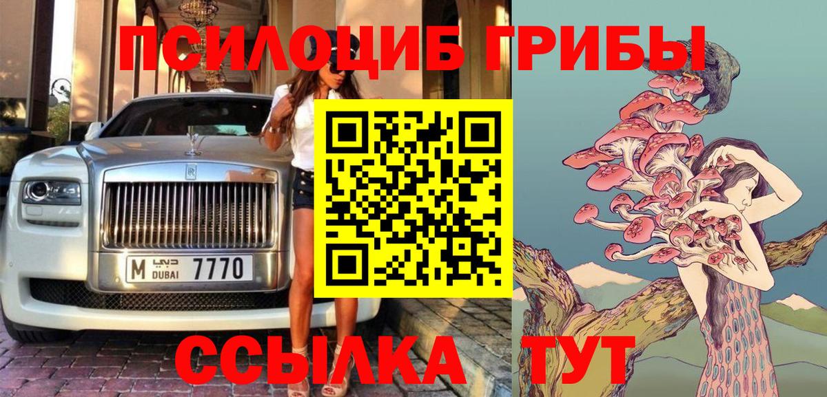 Псилоцибиновые грибы мицелий Бердск