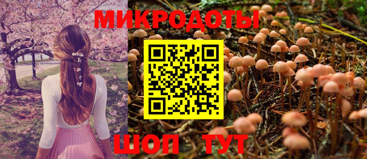 Бошки Шишки Бердск
