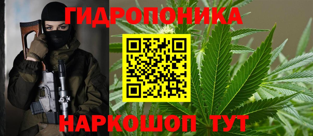 Каннабис Bruce Banner  Бошки Шишки LSD WEED  Каннабис White Widow  Вход с VPN  Бердск 